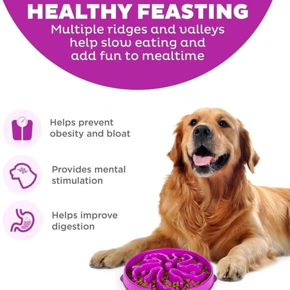 NWT Outward Hound Slo Bowl Purple LARGE Slow Feeder Anti Bloat Dog Bowl - Picture 4 of 9